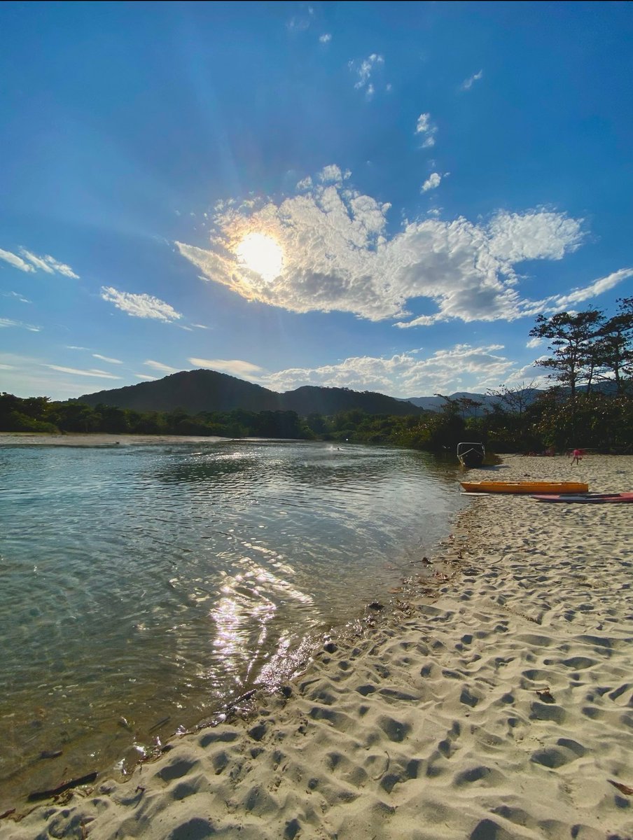 thathawksgirl's tweet image. 86°F 🍹🌴☀️
#SãoPaulo #Brazil