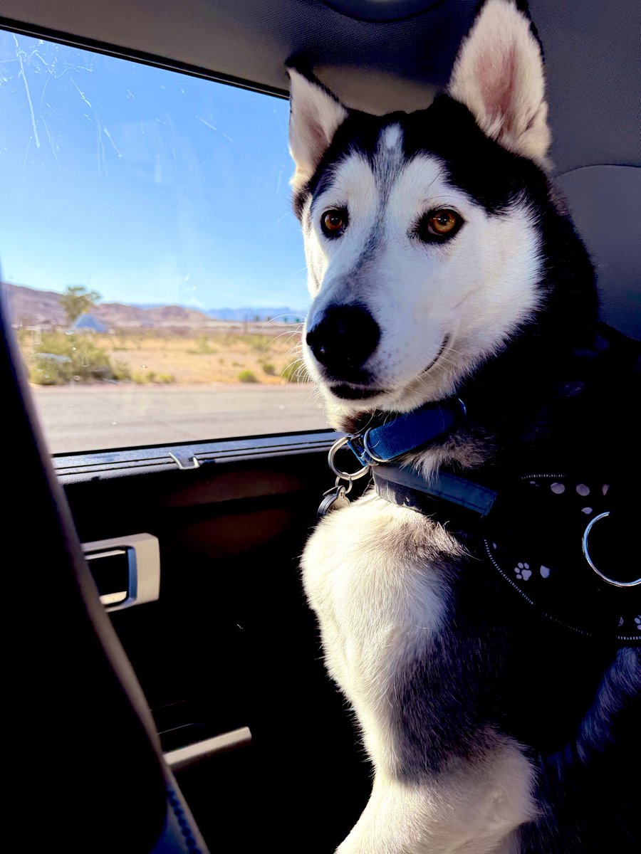 Karina ✈️❤️💙💛🫶🏼🇦🇷🇺🇦 tweet media