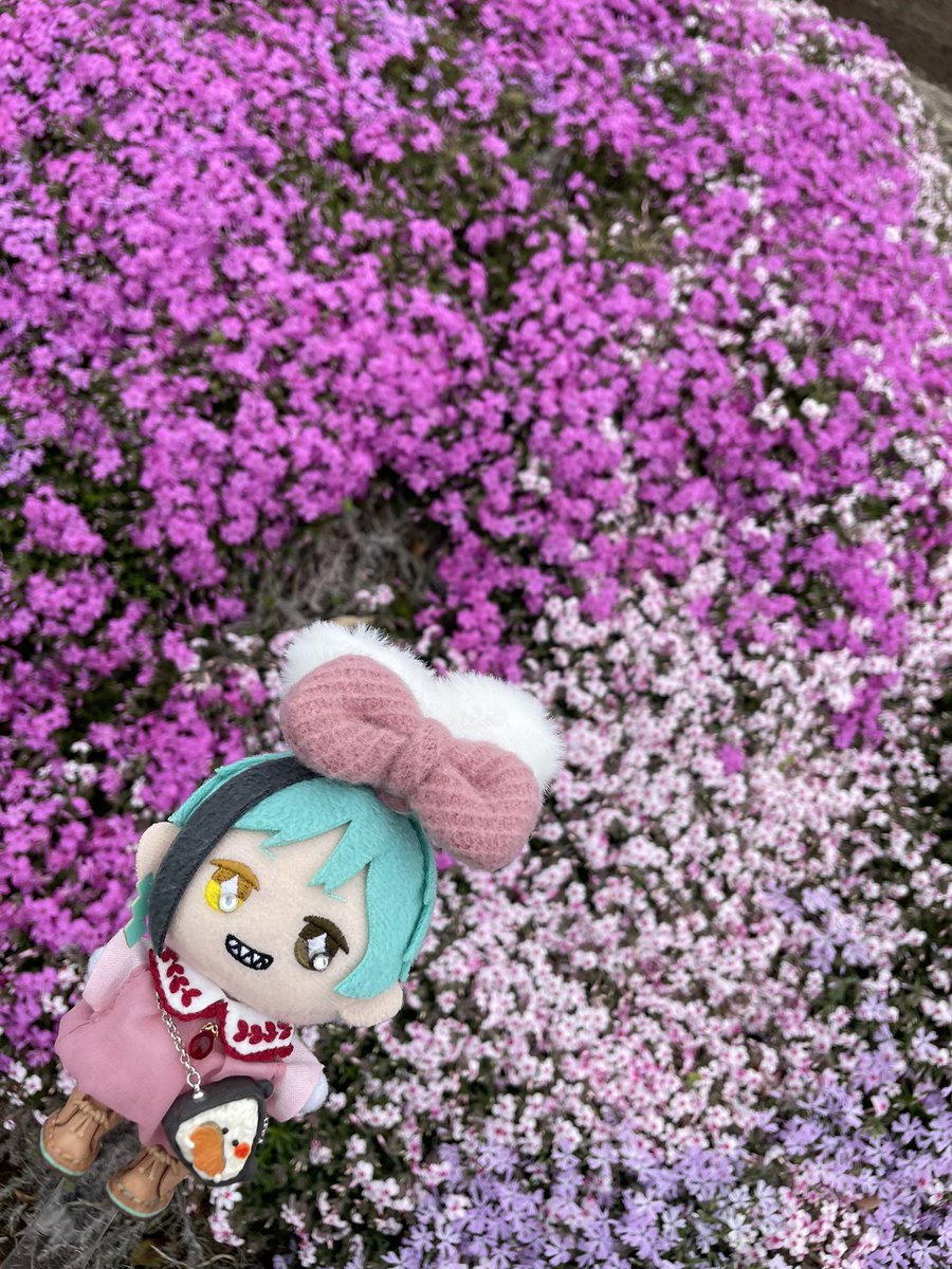 るるた ぬい部 tweet media