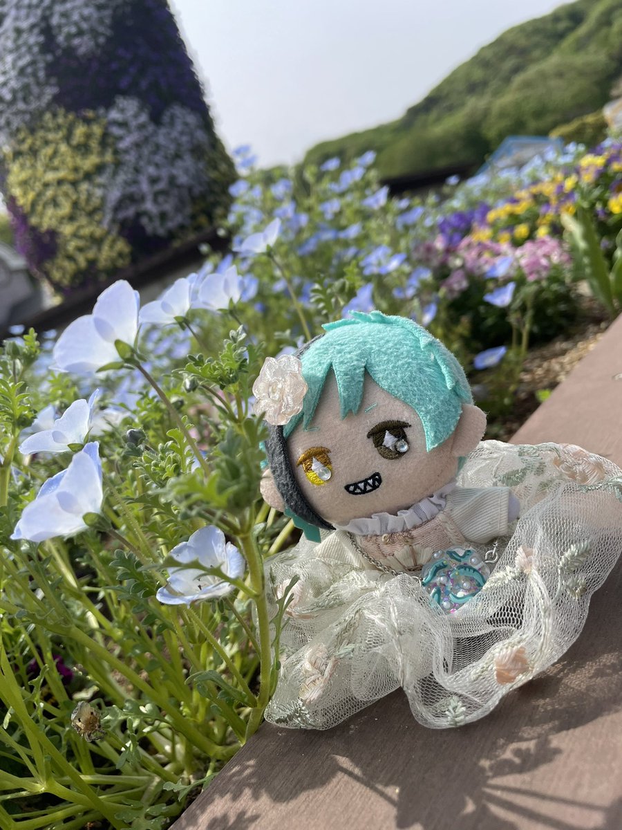 るるた ぬい部 tweet media