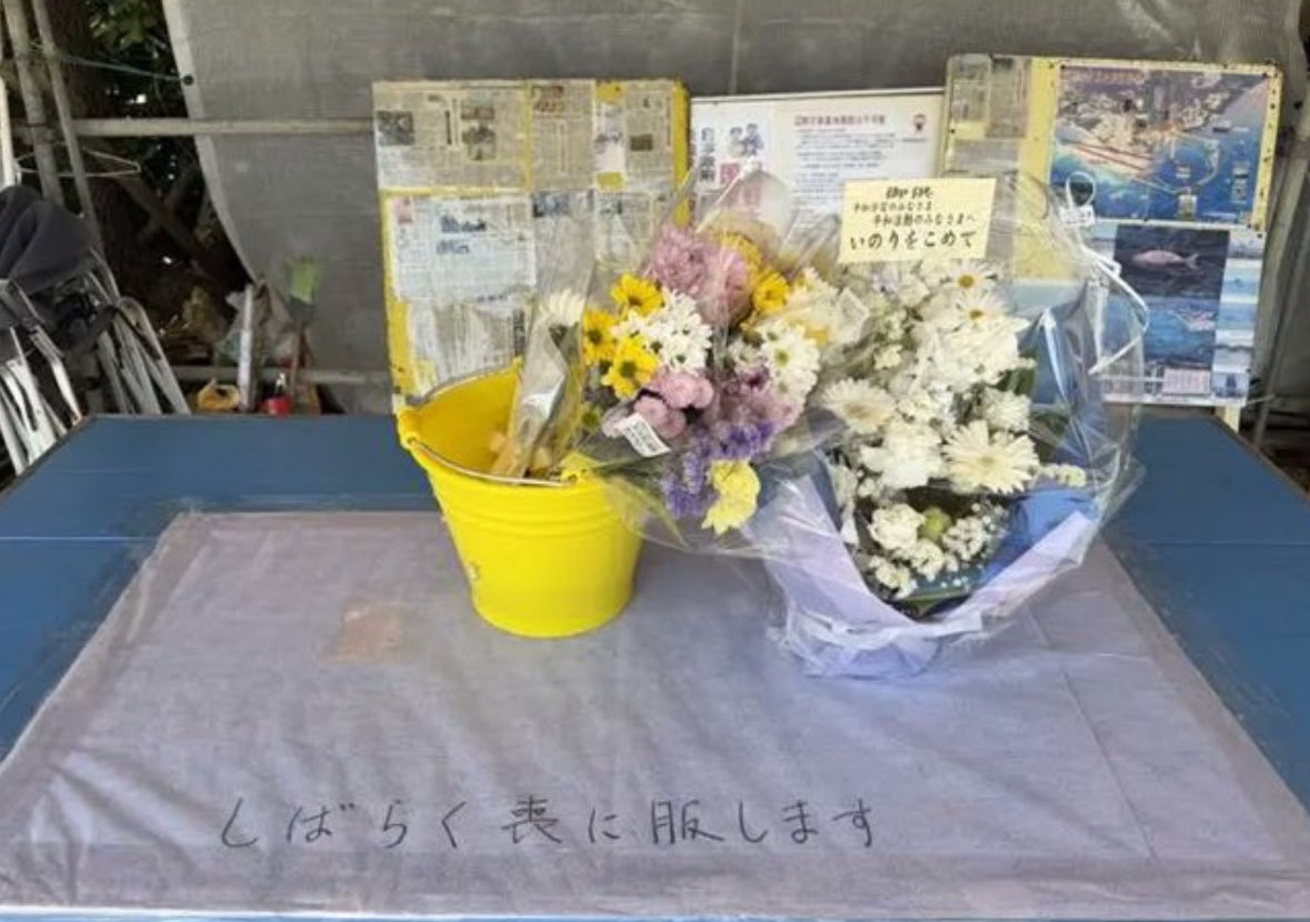 なにこれ？
常識がないことがよくわかる。