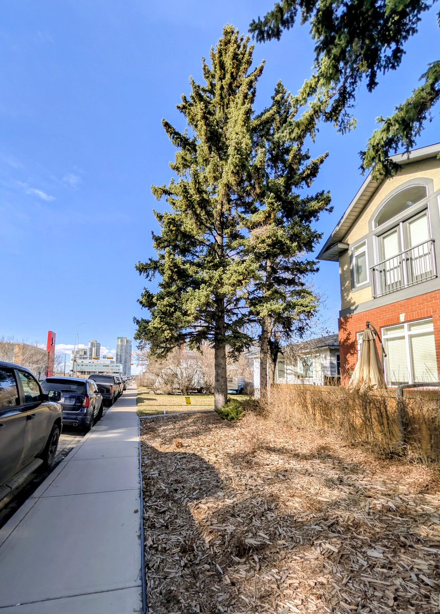 I Japa at 40+ 🇳🇬 → 🇨🇦 tweet media