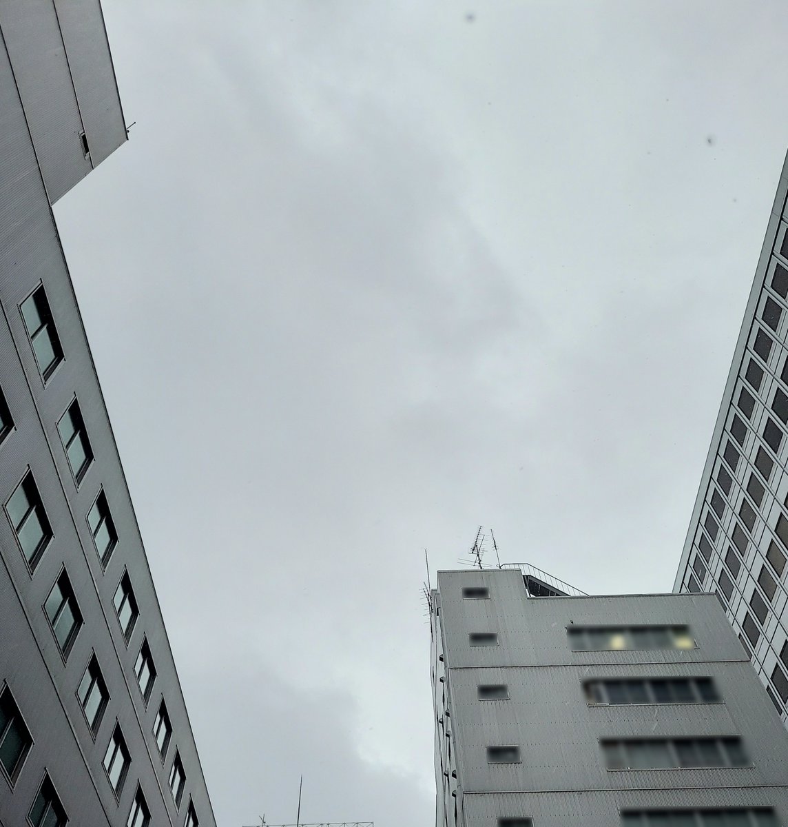 【公式】㈱フレンセル　NS事業部 tweet media