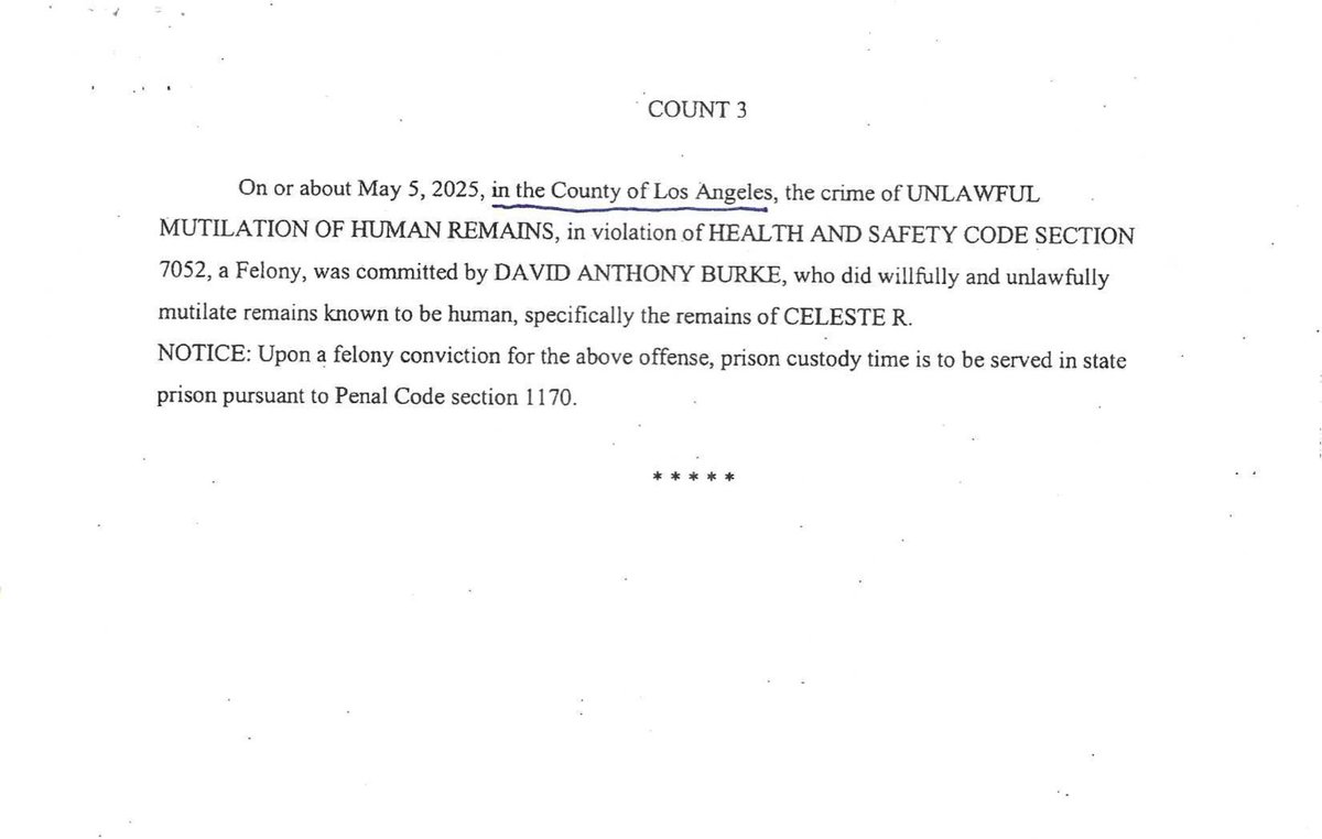 SF INVESTIGATES • STEVE FISCHER tweet media