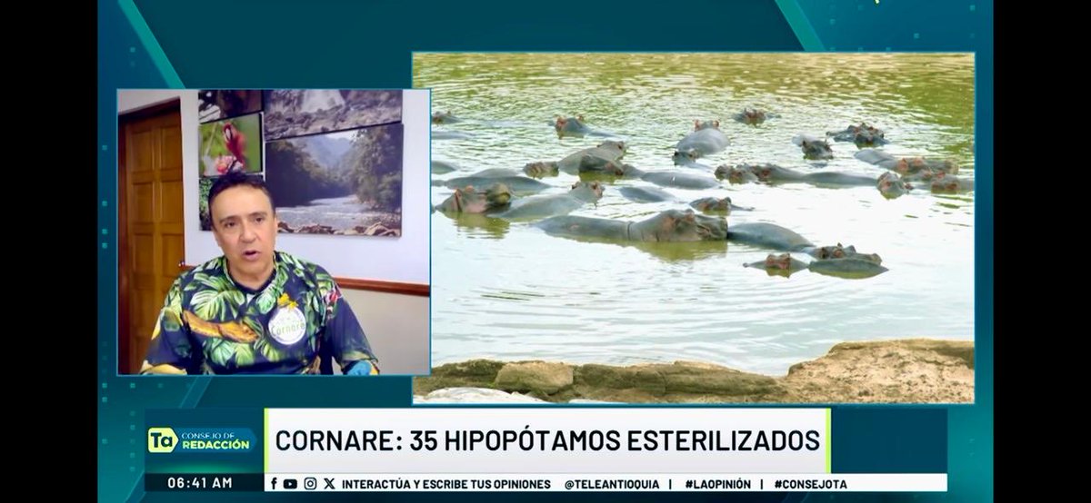 Javier Valencia G. tweet media