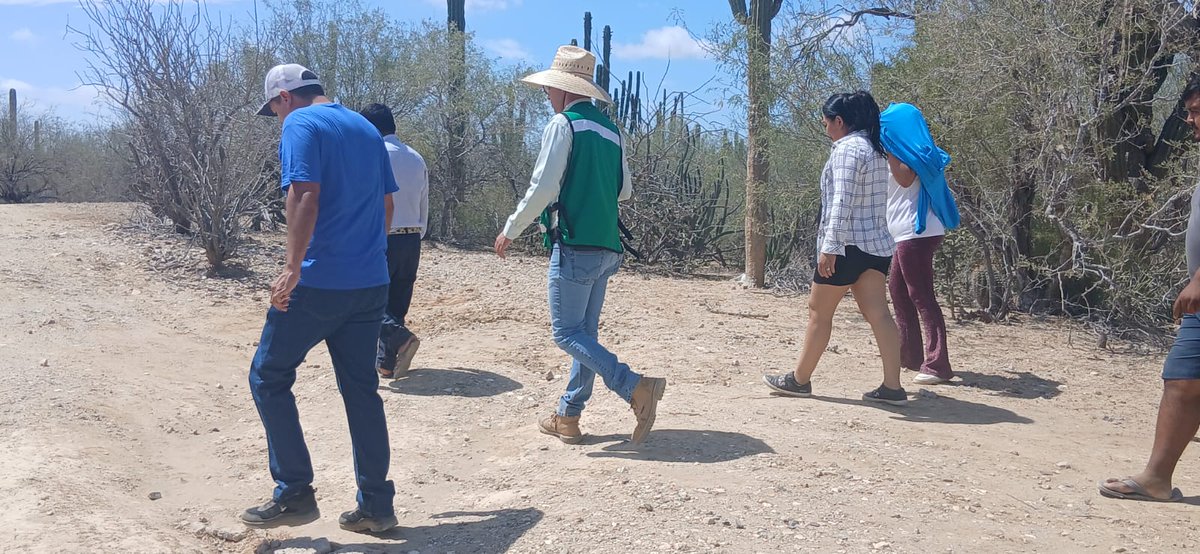 Como ya estaba el compromiso, esta mañana se presentó en la colonia Nueva Jerusalén de la comunidad de Los Planes, para hacer el levantamiento topográfico y elaborar el proyecto de la ampliación de la Red de Agua Potable, el cual, se comprometieron a entregar en 15 días. 🔥