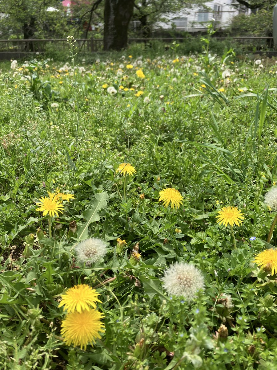 ringo_iso's tweet photo. カラスのカフェ☕️

　今日は、お休みさせていただきます。

　桜営業では、お世話になりました🌸

　来週からは、気分一新で頑張ります！ https://t.co/q8CjvUPVJs