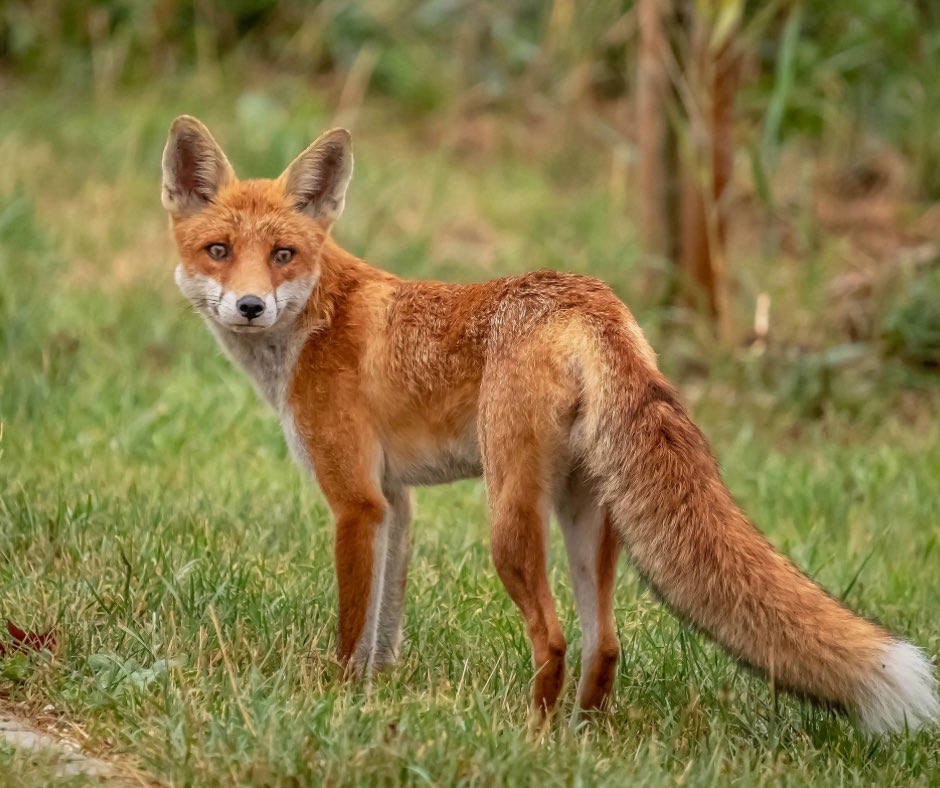 けいこ🍀@日日是好日＿保育士 tweet media