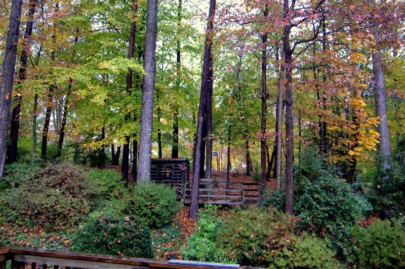 Steve Skojec tweet media