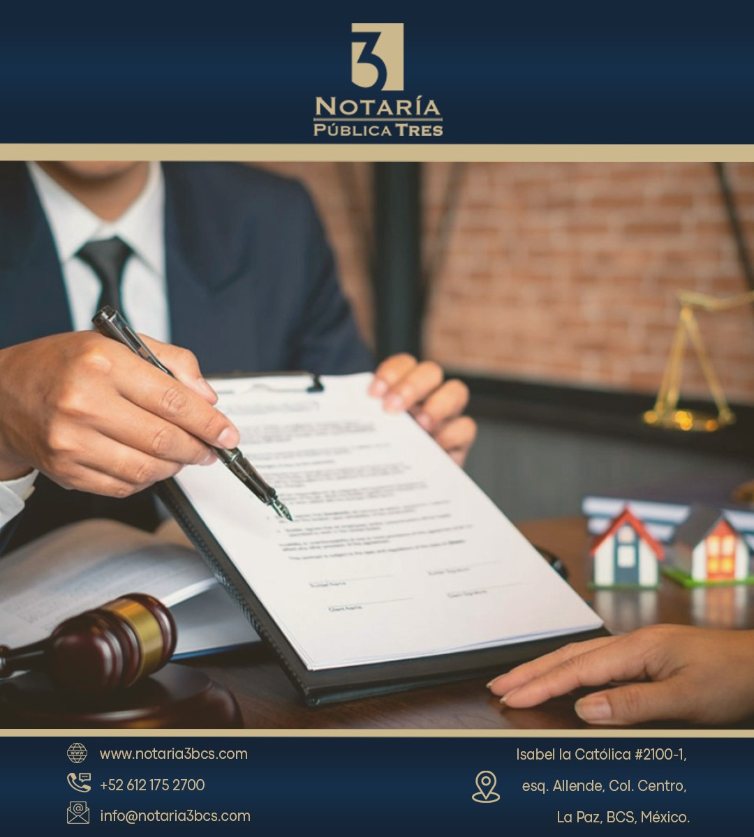 📜 Tu patrimonio merece certeza, no dudas.

Antes de postergar el testamento, toma en cuenta esto 👇
✨ Puedes modificar tu testamento cuantas veces quieras: solo el último es el válido.
✨ ¿Lo extraviaste? No pasa nada: puedes solicitarlo en la notaría donde lo otorgaste.