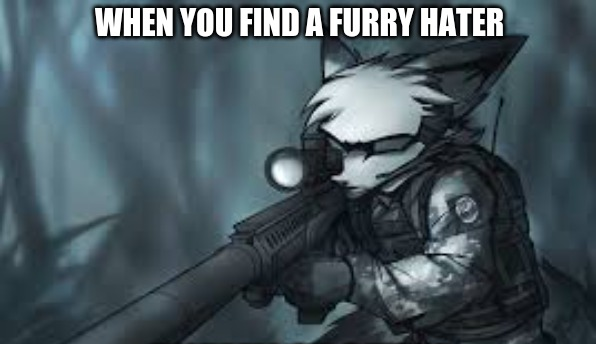 memesnobottomtext@bsky.social (@memesnobttmtext) on Twitter photo 