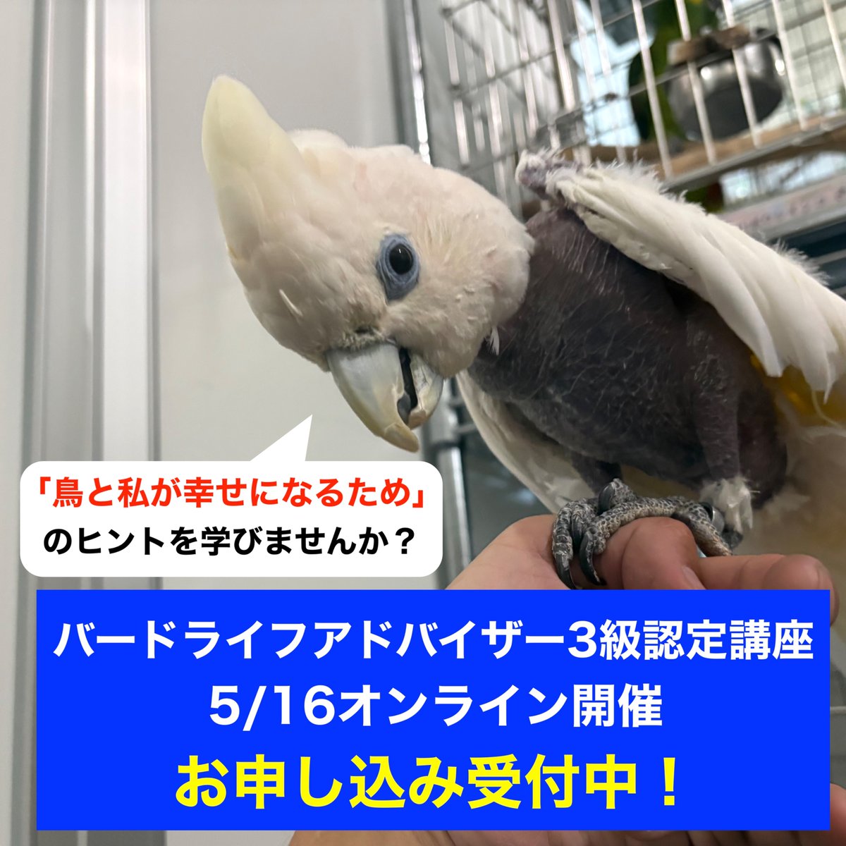 認定NPO法人TSUBASA -新施設クラファン達成しました！- tweet media