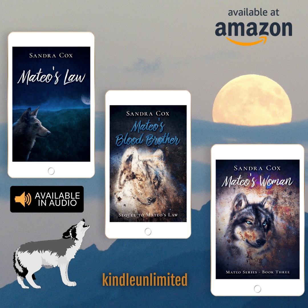 Sandra_Cox's tweet image. EVEN IN RURAL MONTANA FOLKS HAVE DANGEROUS SECRETS and Sheriff Mateo Grey’s is a doozy.
amazon.com/dp/B0FZF27H61
#KUFree #shapeshifter #ModernWestern #PoliceThriller #E #Paperback #RuggedSheriff #books #romancewithgrit