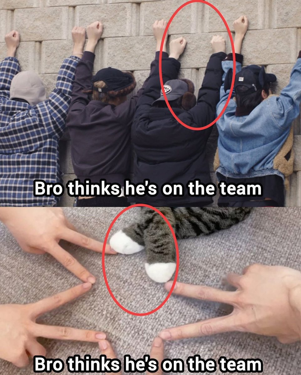 look what i have found 😭😭😭