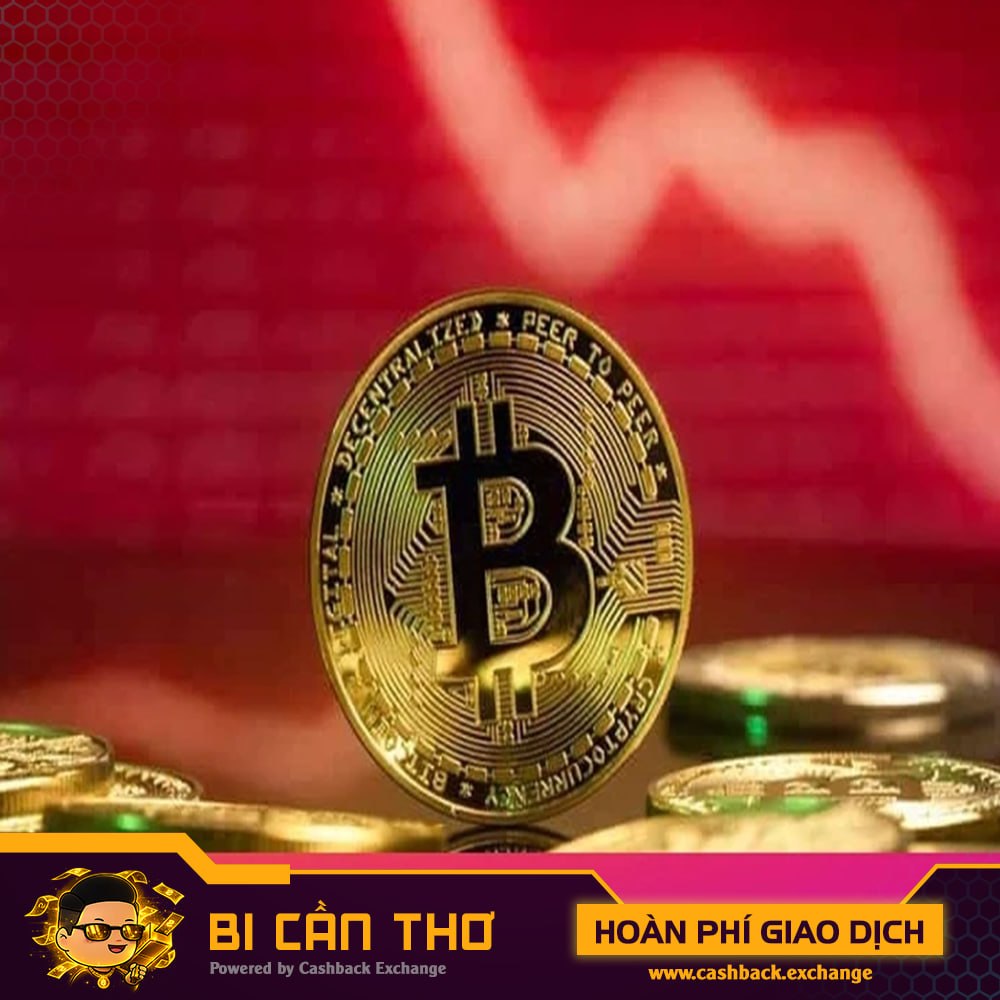 Bi Cần Thơ | Cashback.Exchange tweet media