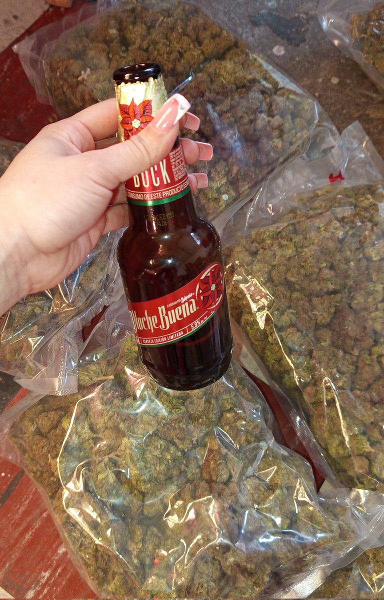 CRvale_'s tweet image. pues pásala chido hoy en tu día BFF, feliz cumple
Fumeleeee  😎💚💚💚#420
 #weed #nochebuena #GH #felizdia #mosh
#OZ #greenhouse