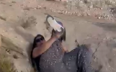 J.B. de Almeida tweet media