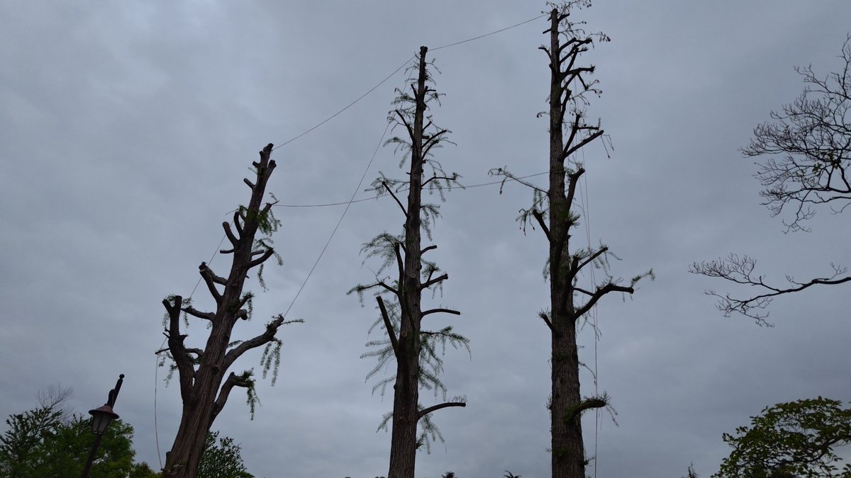 NPO法人札幌カラス研究会 tweet media
