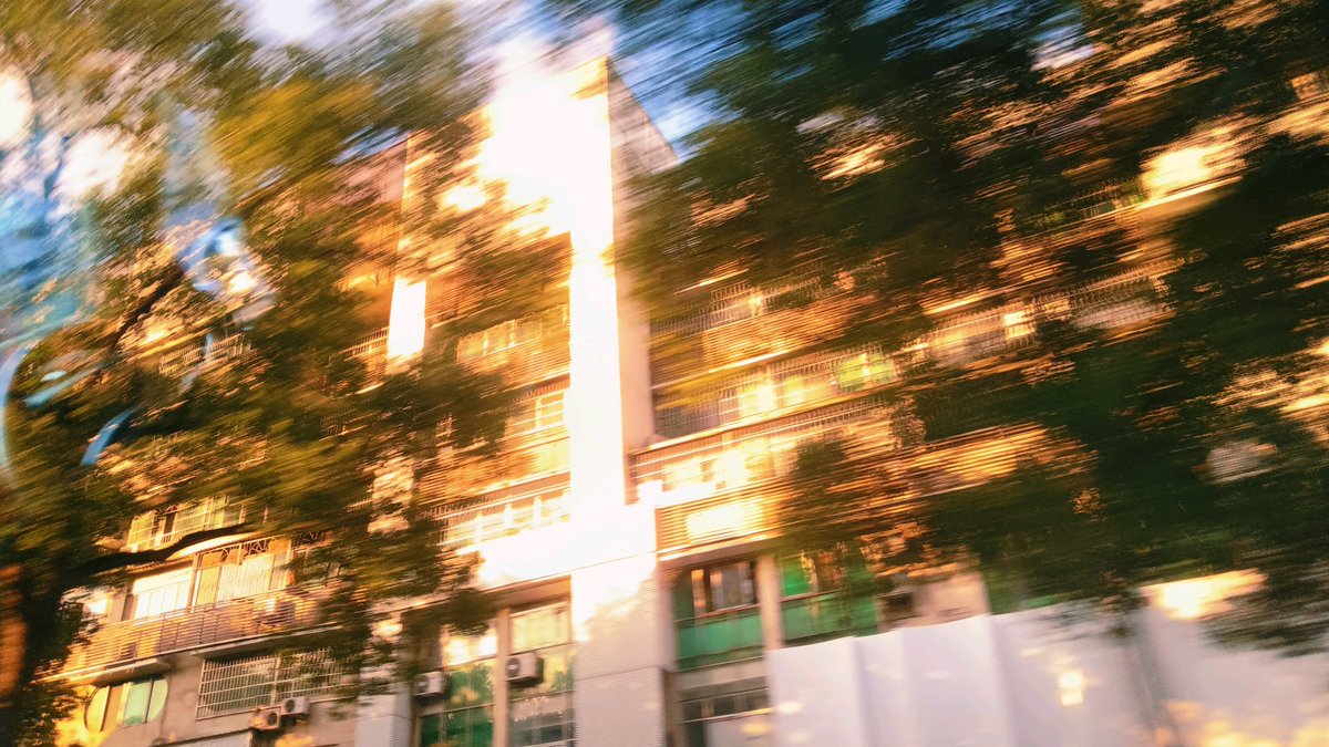 Aurora📷 tweet media