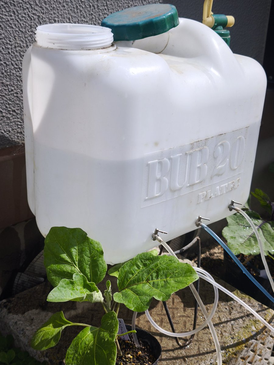 葬送のgozilla@やまちゃん tweet media