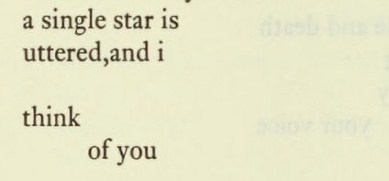 lyra ☾ tweet media