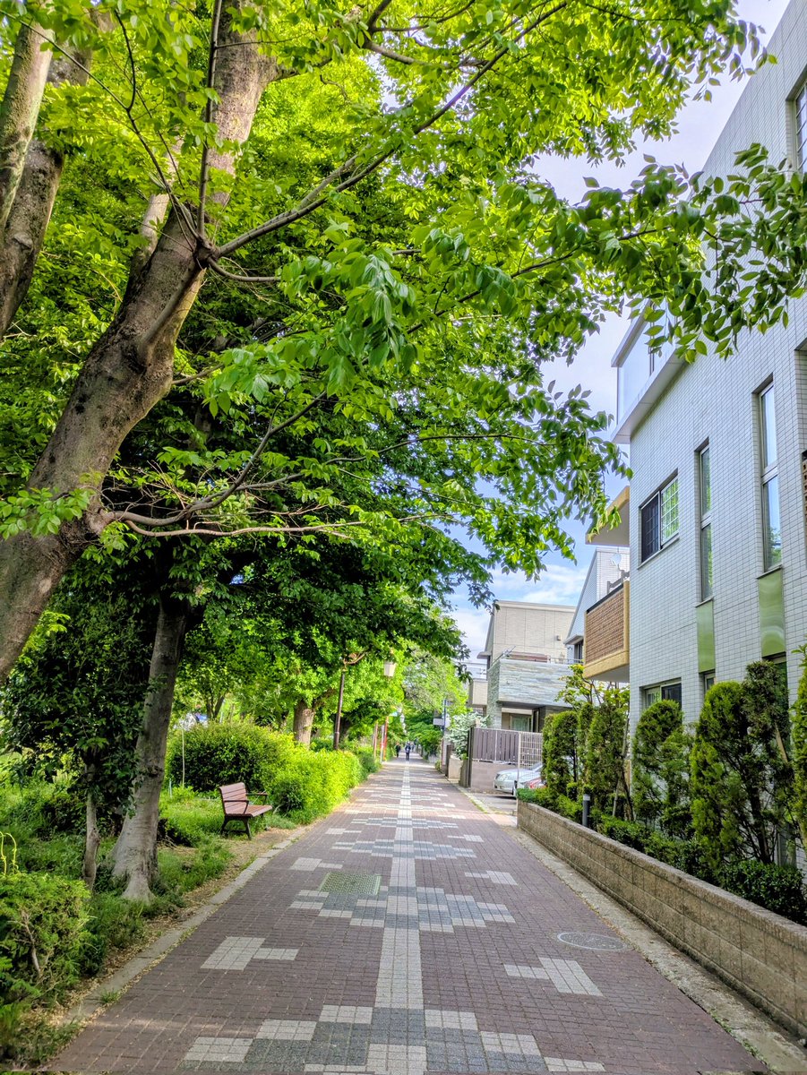 朝散歩 
谷保天満宮迄 
9000歩程
気持ち良い時間

#朝散歩
#国立大学通り