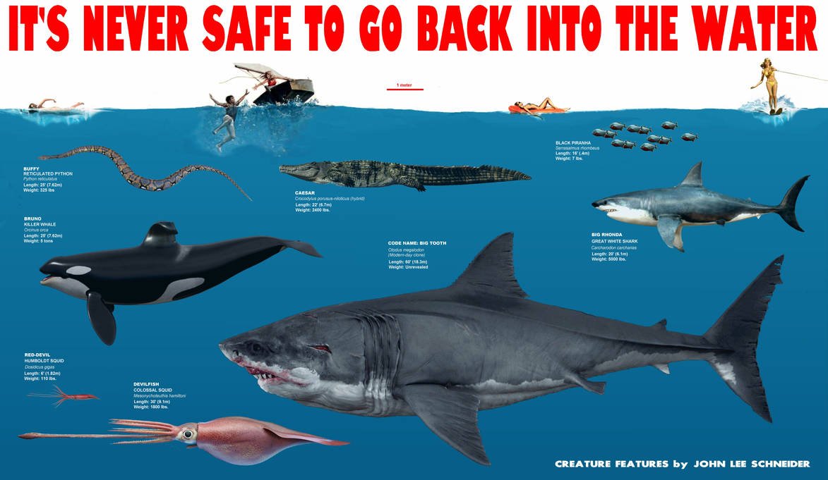 JLSCreatures's tweet image. amazon.com/stores/John-Le…………… #creaturefeature #horror #jurassic #sharks #crocodiles #dinosaurs #orcas #megalodon #monsters #johnleeschneider #severedpress #scifi #kindlebooks #Kaiju #PrimitiveWar #jaws #blackfish #snake #venom #python #constrictor #ufo #alien #godzilla #kong