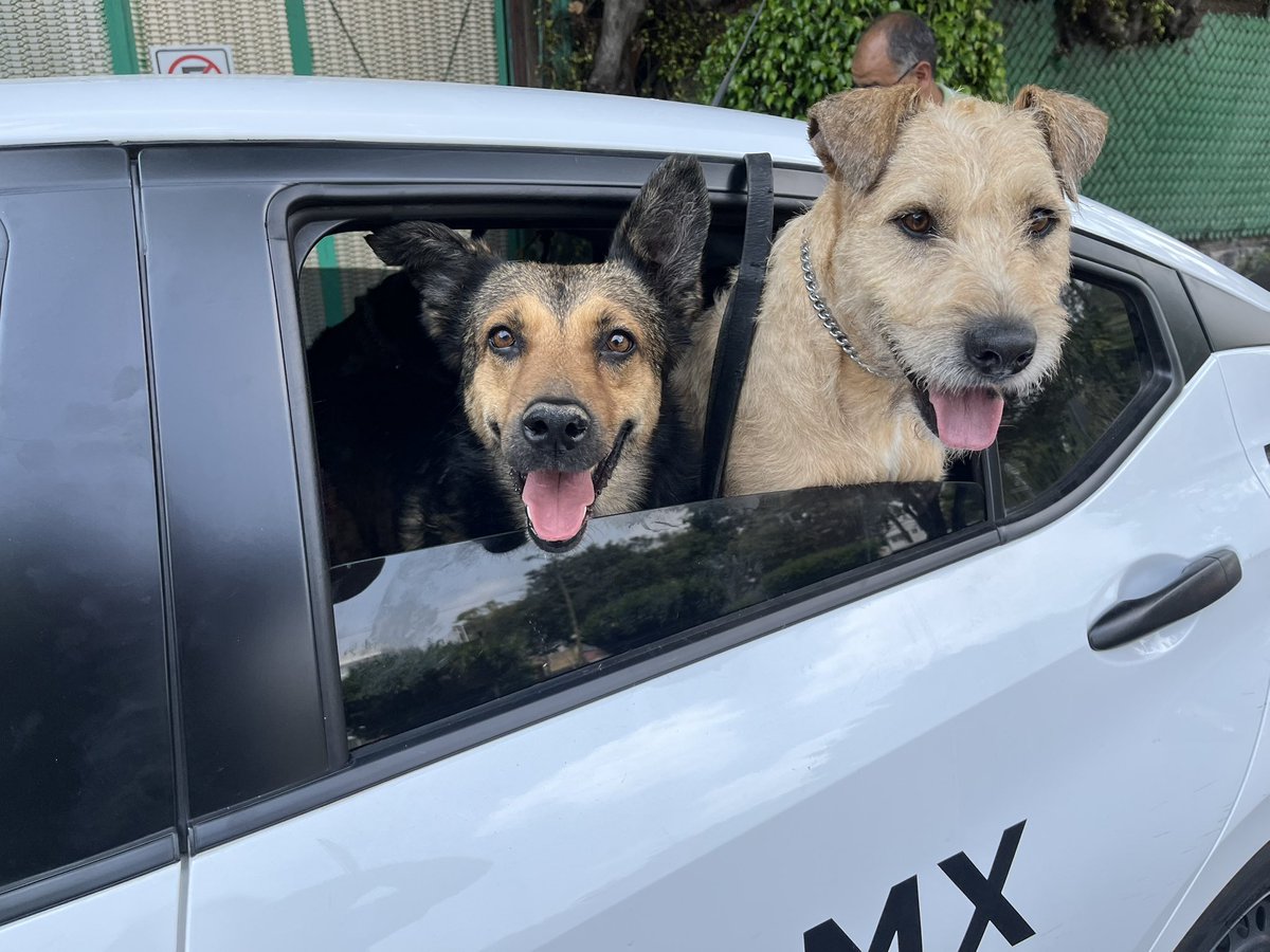 𝙷𝚎𝚕𝚊 𝙼𝚘𝚛𝚎 🐶 tweet media