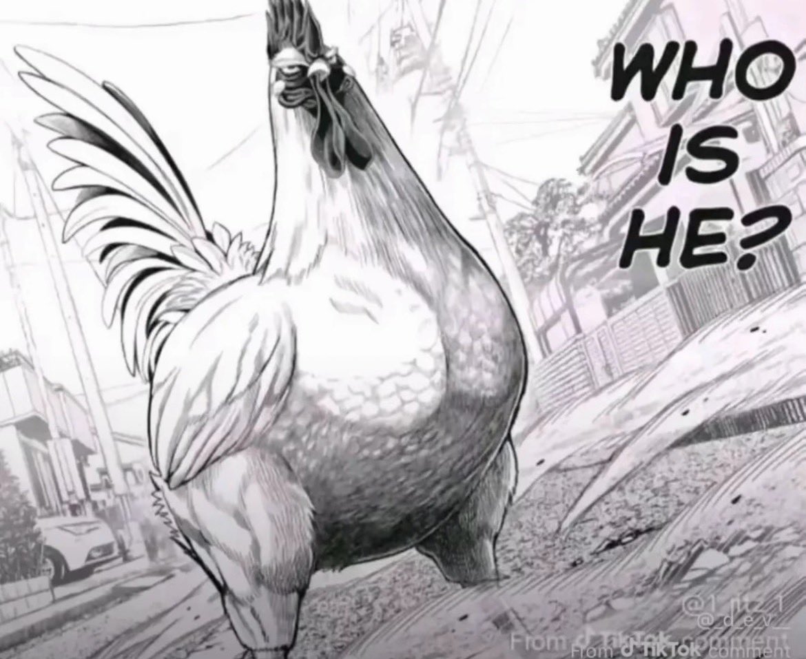 latinmore tweet media