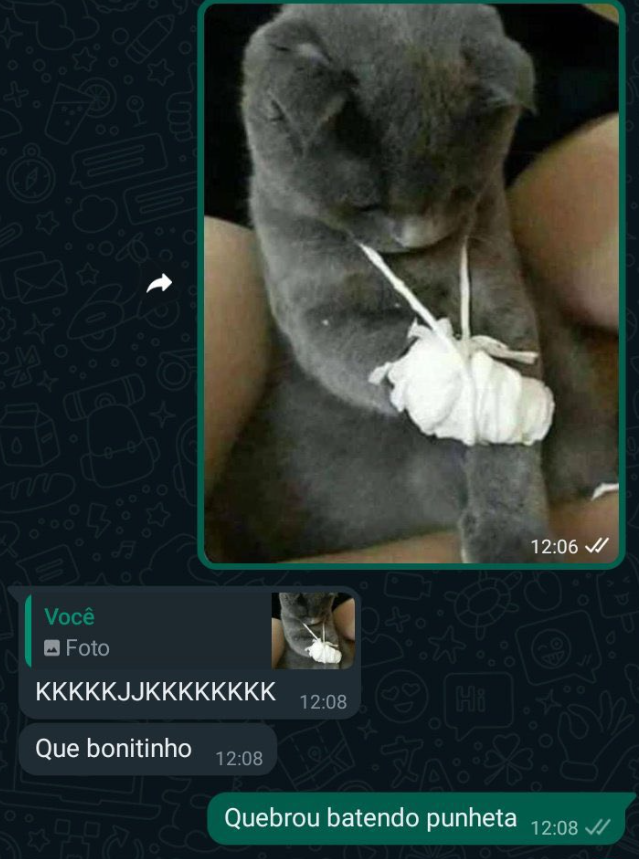 memes.jpeg tweet media