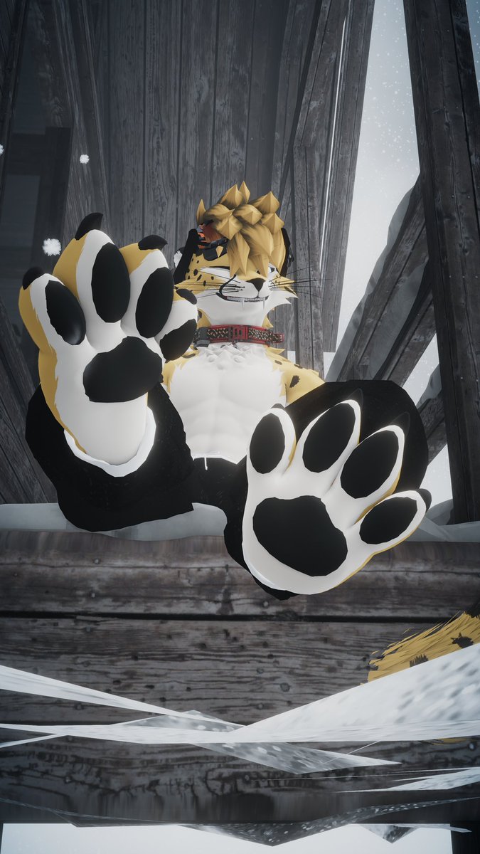 Cheetah Paws tweet media