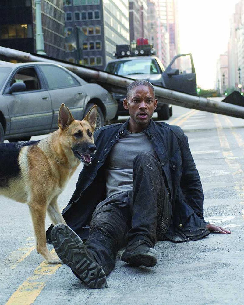 ホラー映画取締役 tweet media