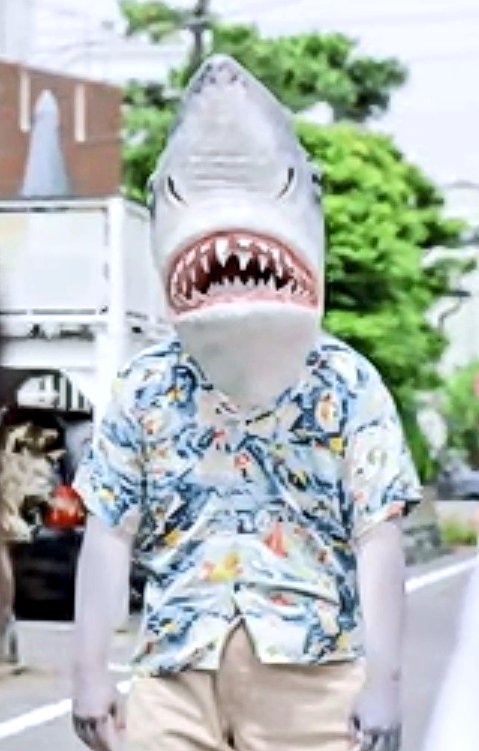 鮫野郎 tweet media