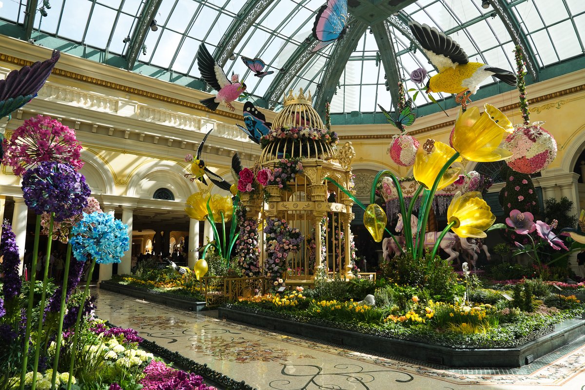 Bellagio Las Vegas tweet media