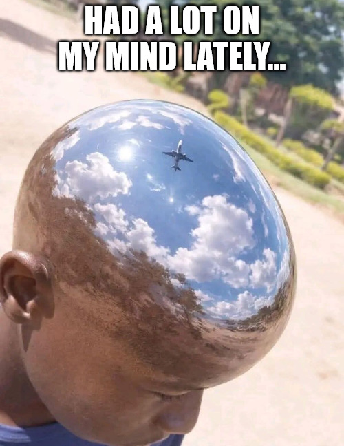 memesnobottomtext@bsky.social (@memesnobttmtext) on Twitter photo 