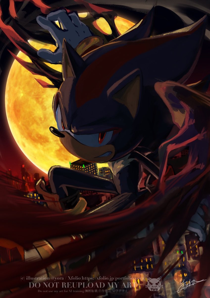 yora(よら) tweet media