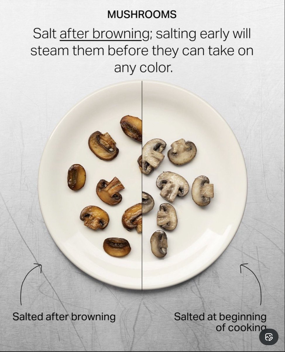 __eloise__ tweet media