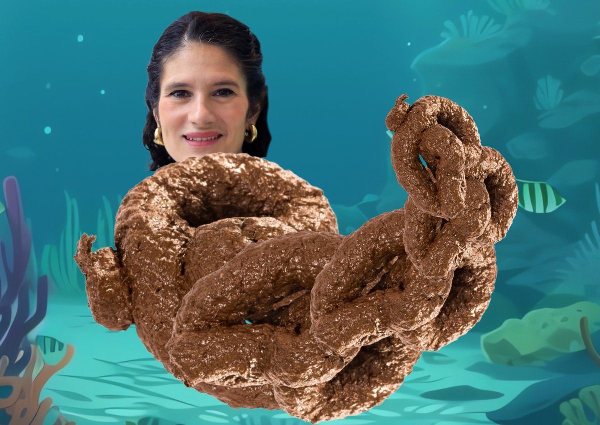 Guillermo 🤟🏼🤘🏼 tweet media