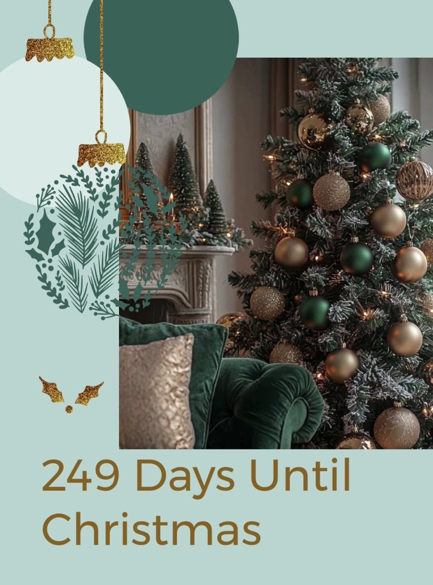 Christmaslvr147's tweet image. 🎄🎅🏼Daily Christmas Countdown 🎅🏼🎄❄️249 days until Christmas ❄️ #christmas #christmas2026 #christmascountdown #christmasiscoming #christmastree