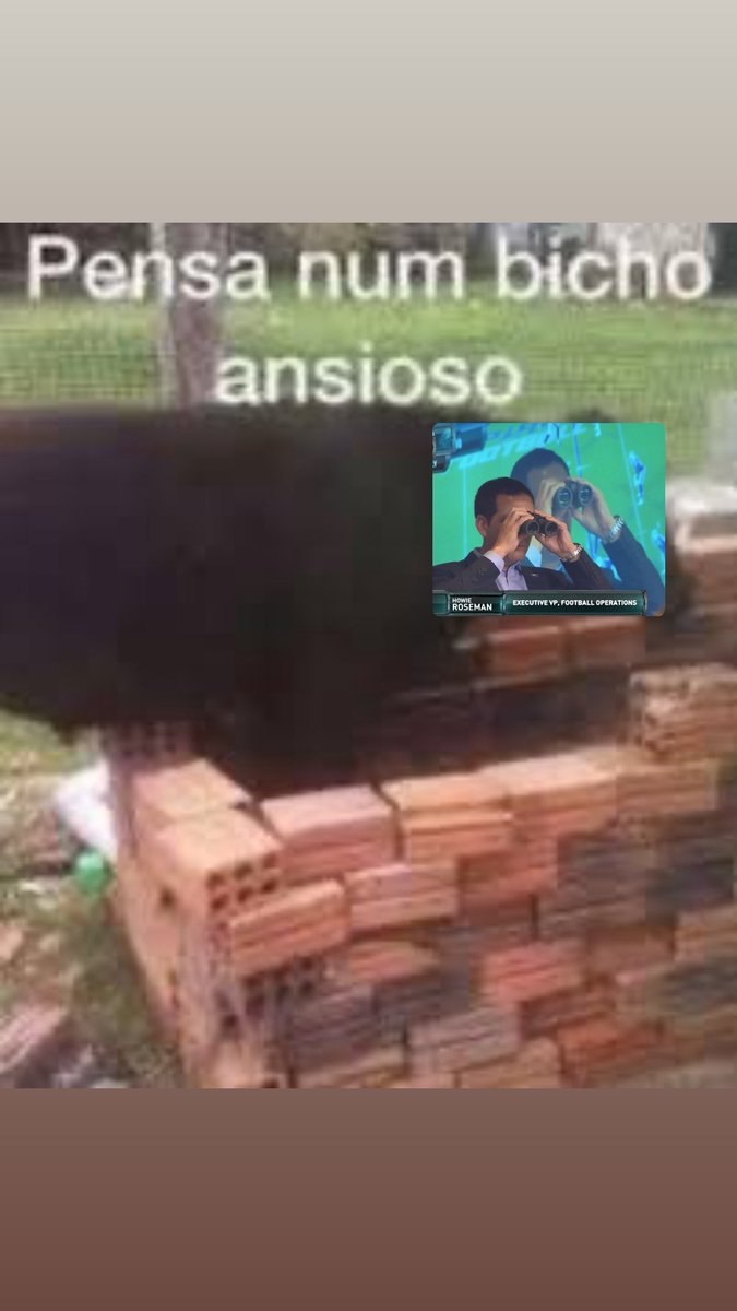 Huddle Brasil 🇧🇷 tweet media