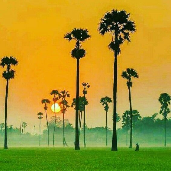 HumdardAlfaaz's tweet photo. किसी की भावनाओं के साथ प्रयोग मत कीजिए
किसी का जीवन आपकी प्रयोगशाला नहीं है। https://t.co/xH7euHlWoY