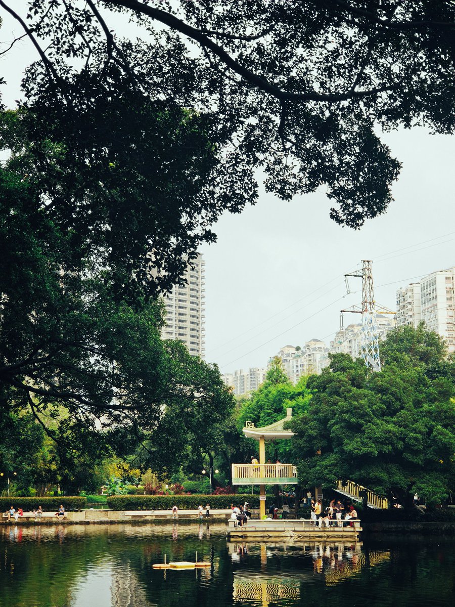 🇨🇳飞天小熊猫（修身养性版） tweet media