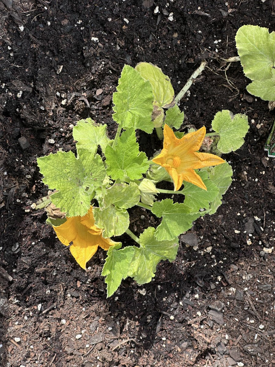 Kat Grace tweet media