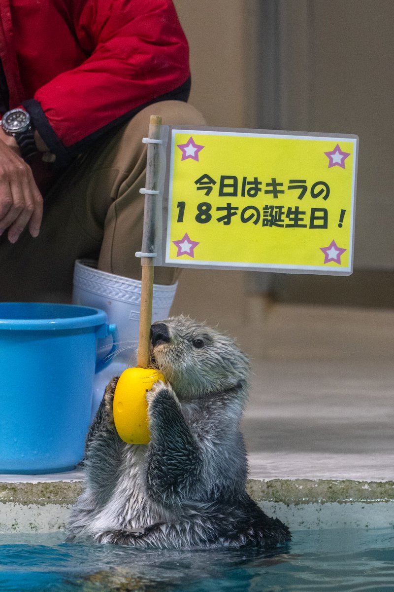 スコンブ3rd tweet media