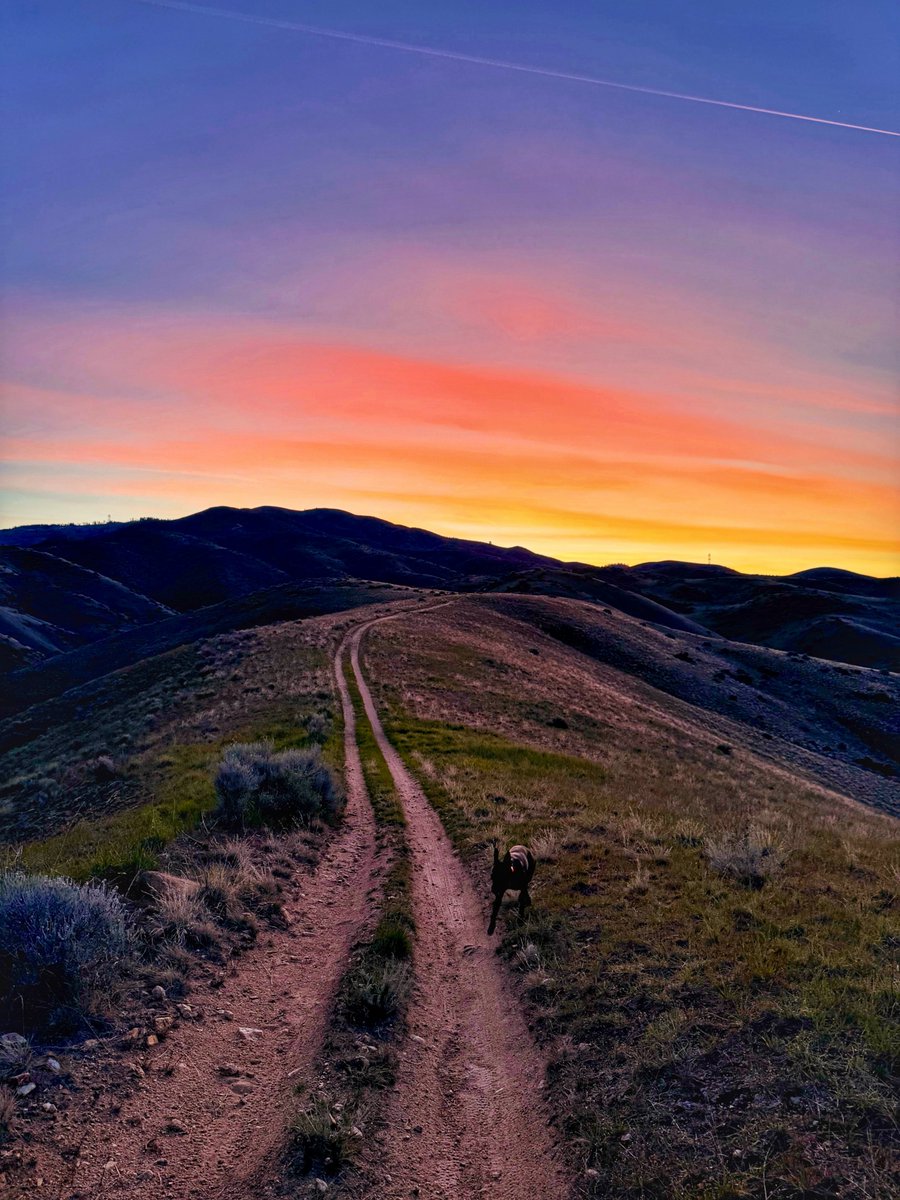 8ntmuch's tweet image. Photo challenge, show us an image with leading lines!

Read more about leading lines below!  ⤵️