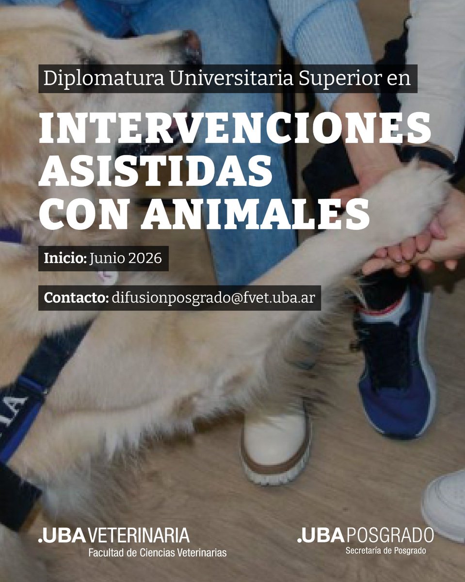 UBA Posgrados tweet media