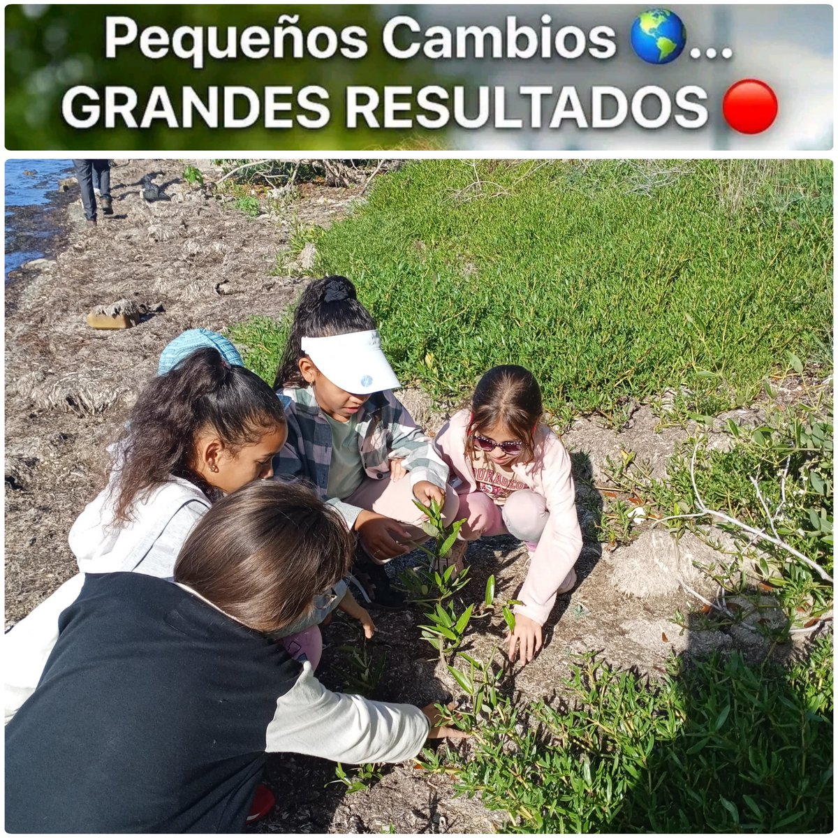 Educación Ambiental.
#CubaMined