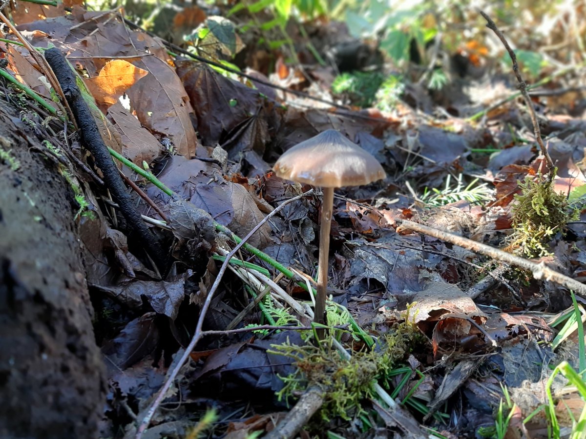 Aaron The Artificer tweet media