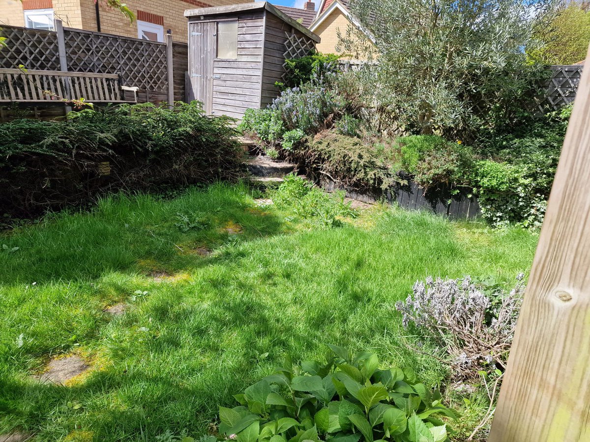 ExtraCarePro's tweet photo. When I arrived at my first job of the day this morning… 

#gardener #gardeningservices #ashfordkent #TheMuslimHandyman https://t.co/aZFBHvJjSd