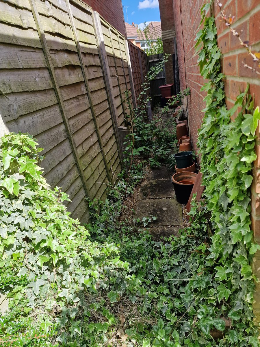 ExtraCarePro's tweet photo. When I arrived at my first job of the day this morning… 

#gardener #gardeningservices #ashfordkent #TheMuslimHandyman https://t.co/aZFBHvJjSd